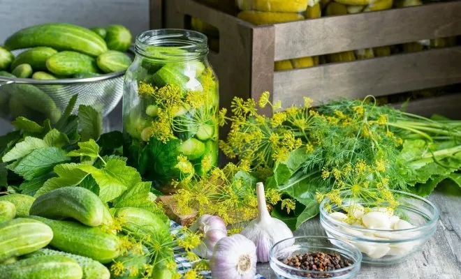 shutterstock.com / Elena Tcykina: Рецепты вкусных маринованных огурцов