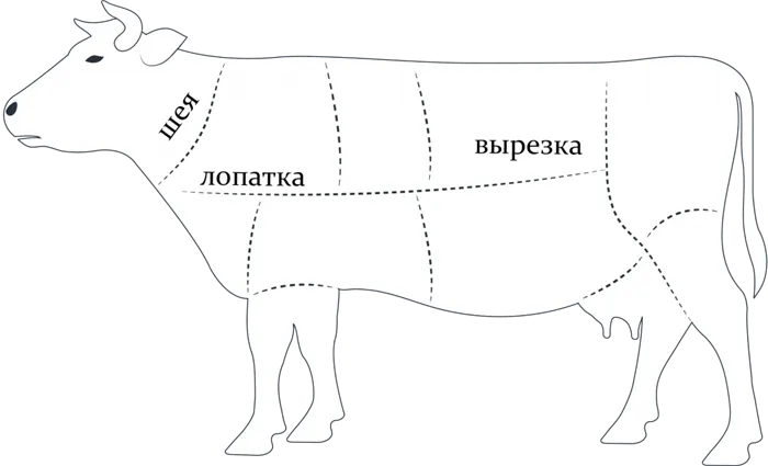 Какую часть говядины брать для азу