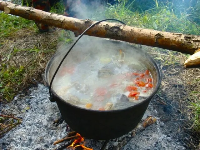 Жирная уха получается из толстолобика, сома, линя и сазана