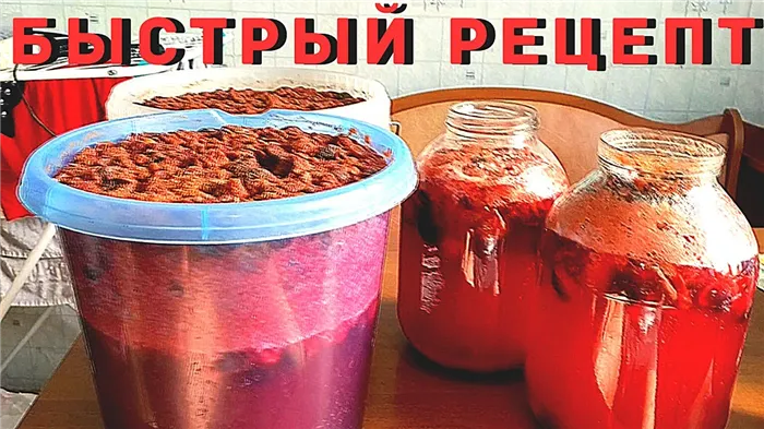 ВИНО ИЗ ТЕРНА, ОЧЕНЬ БЫСТРЫЙ РЕЦЕПТ. ВКУСНОТИЩА.