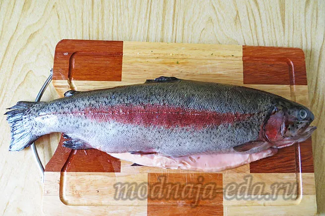 Forel